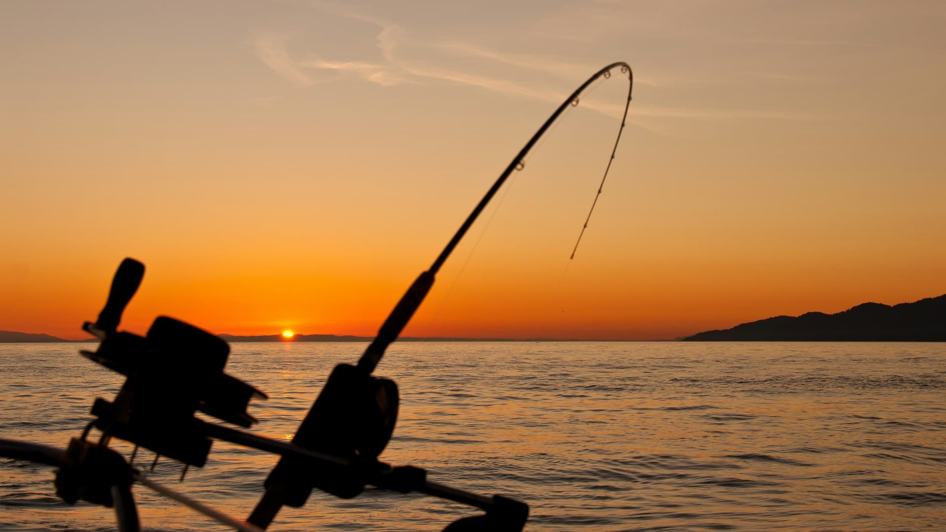 Pesca deportiva